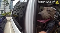 ҷյǨªԵ! عѢԴö͹Ѵ