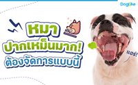 һҡҡ ͧẺ!
