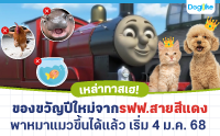 -Ǣö俿ᴧǵ͹Ѻ 2568