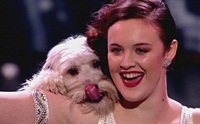 น้องหมาเท้าไฟเข้ารอบชิง Britain's Got Talent 2012