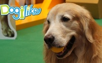 Dogilike Ǿҷ PET EXPO 2012 ͹ 1