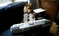 ร้องเพลงคลอไปกับดนตรี