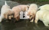 7 แสบกับการเล่นน้ำสุดมันส์