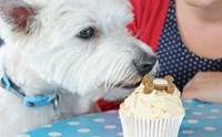 Pupcake! ͧҹعѢǹ