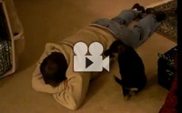 เจ้านายเป็นอะไรไปนะ!!