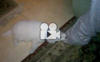 หนูอยากได้ ถอดให้หนูน้า!!