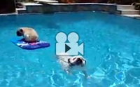 Ŵ͡ش ¹ͧꡢ鹽