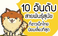 10 ѹѺ¾ѹعѢ¹§ش [Infographic]