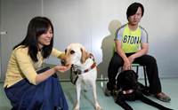 2 عѢӷҧ ¹Ե 2 麡ͧҧµ