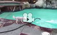  ͧҢԡѺáѡ