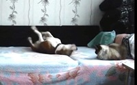 Իѡ! ¾ĵԡҵٺ Ңͧҹ