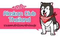 ɳ  Alaskan Club Thailand Ťѡѡ