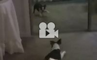͹ͧҵͧ㹡Ш