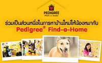 ǹ˹㹡Һҹͧ Ѻ Pedigree ind-a-Home