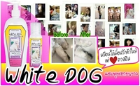 Review : White Dog ٿ͡