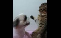 繴! ԻõشҢͧҵٺ 