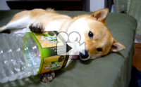 Թ!! ѹҡѧ