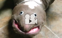 Իش! Ңͧѵš¾ѹͧ