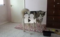 ͧкҧ!