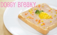  D.I.Y Doggy Breaky ͧҧʹ
