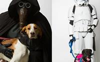 ش! ᤹ҴҨѺعѢҾ Star Wars ͡Һҹ