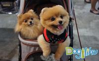 Dogilike พาทัวร์งาน Thailand International Dog Show 2015