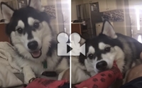 Ҵ䫺¹ǹҢͧ ѡҡ͡ !