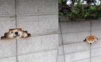 絻! ҤԵеǨشᾧ ѡ¼餹Թҹ