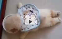 ͹ԹẺʺ١!