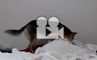 ...ҹµǹ!