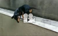 ѧͧѪعѹ෾ԧ  ͵ͧ !