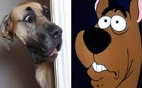 絻!  Presley ÷ഹѡչ͹ Scooby Doo
