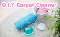 D.I.Y Carpet Cleaner ͹  
