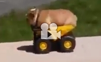 ͺŴ͡شѡö÷ءǹ ѡԴ!!