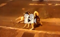Իش! عѢѵ׹ͧ Ⱦ͹١öҧ