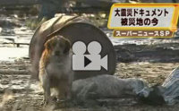 ֹԨйҡ ҡ “駡ѹ”