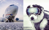 Piper ҵٺ K9 ˹ҷ蹡 ԷѡѹѰ