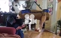ջѭͧѴ纹ͧ ͧ٤Ի紨ԧ !!