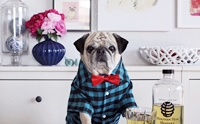 ѡѹѧ?  Rocco ꡵ǹ¡Ѻ˹ҷ෹ش 