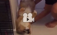 з駵! ͤ͹Ңͧ