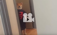ٺ͡仡š͹ ҹǡѺ !!