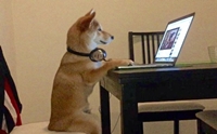 ѡ  Chiko ԺйѡԴô˹ѧ͹Ź˹ѡҡ!!