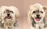 ç? Ҿ Before & After ҹͧҶ١Ѵ