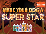 Make Your Dog A Super Star çôҡ હ