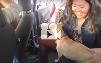 Ѻ Uber عѢҡٹѡԧ ١ ѧ¡е鹡Ѻ§ !