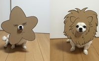 ! ˭ԧ蹵Ѵ