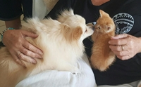 ͤ١ѹͧҡѺ ˭ԧ¨ҡҡԵѧ !!
