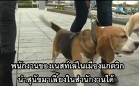 Ϳ㹽ѹ! ѷѧ龹ѡҹҵٺ§ӧҹ 