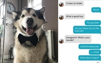 ʡѹ 캹;Ҥ Tinder ҹ  º !!