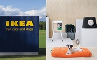 ҵ¡ͧ! IKEA ԴѺ੾ 